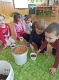 IMG_20240320_091822