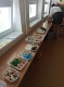 IMG_20240531_090156