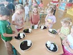 IMG_20240531_091014