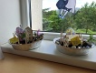 IMG_20240531_093309