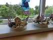 IMG_20240531_093311