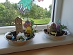 IMG_20240531_093316