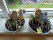IMG_20240531_093319