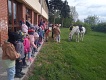 IMG-20240419-WA0003