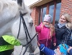 IMG-20240419-WA0010