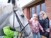IMG-20240419-WA0022