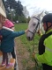 IMG-20240419-WA0027