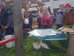 IMG-20240419-WA0053
