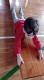 IMG-20240117-WA0008