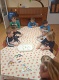IMG-20240122-WA0019