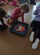 IMG_20240103_091726