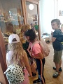 IMG_20250619_083720