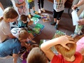 IMG_20250619_094735