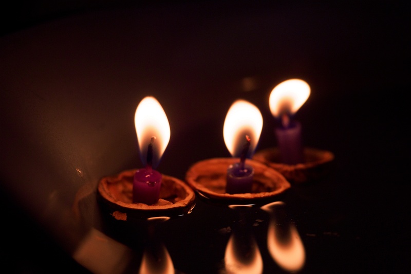 PC165049.jpg - OLYMPUS DIGITAL CAMERA