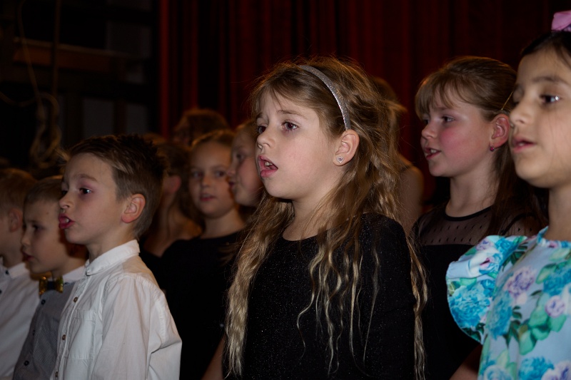 PC165306.jpg - OLYMPUS DIGITAL CAMERA