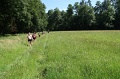 IMG_5273