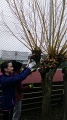 IMG_20230420_091754