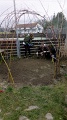 IMG_20230420_100218